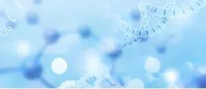 97����-(�й���)�ٷ���վ